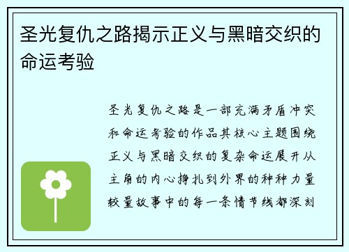 圣光复仇之路揭示正义与黑暗交织的命运考验